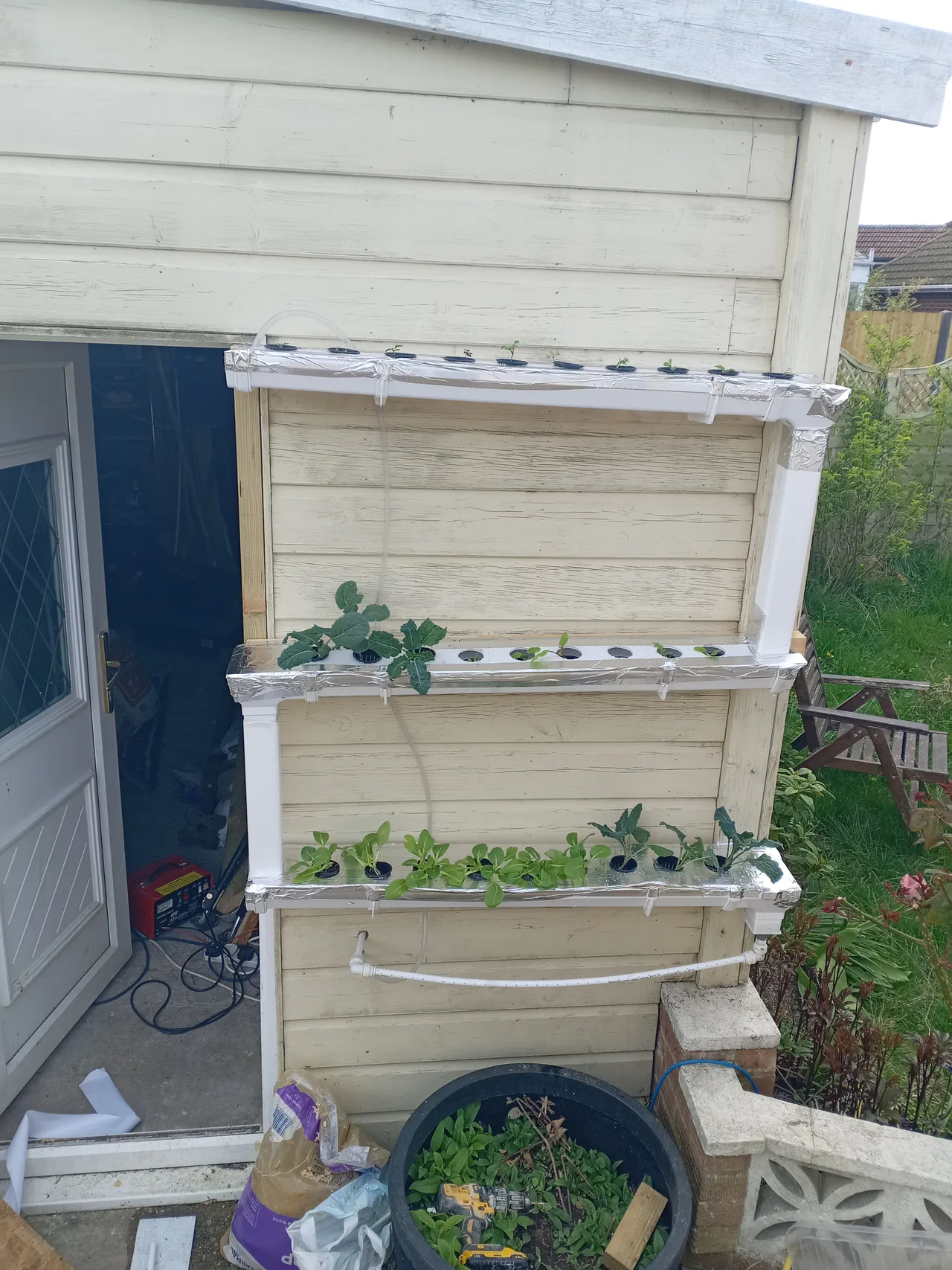 Inside view of the plasterers bucket reservoir — a small 12V submersible pump sits in the nutrient solution with tubing running upward, the return pipe visible dropping water back into the bucket from above