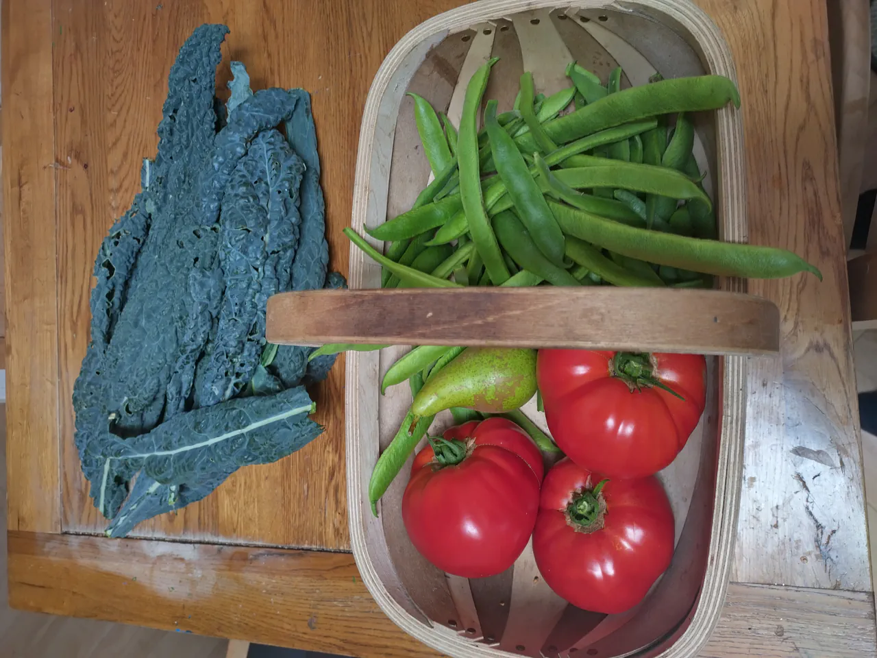 Wooden trug filled with large red beefsteak tomatoes and green beans alongside cavolo nero from the hydroponic garden