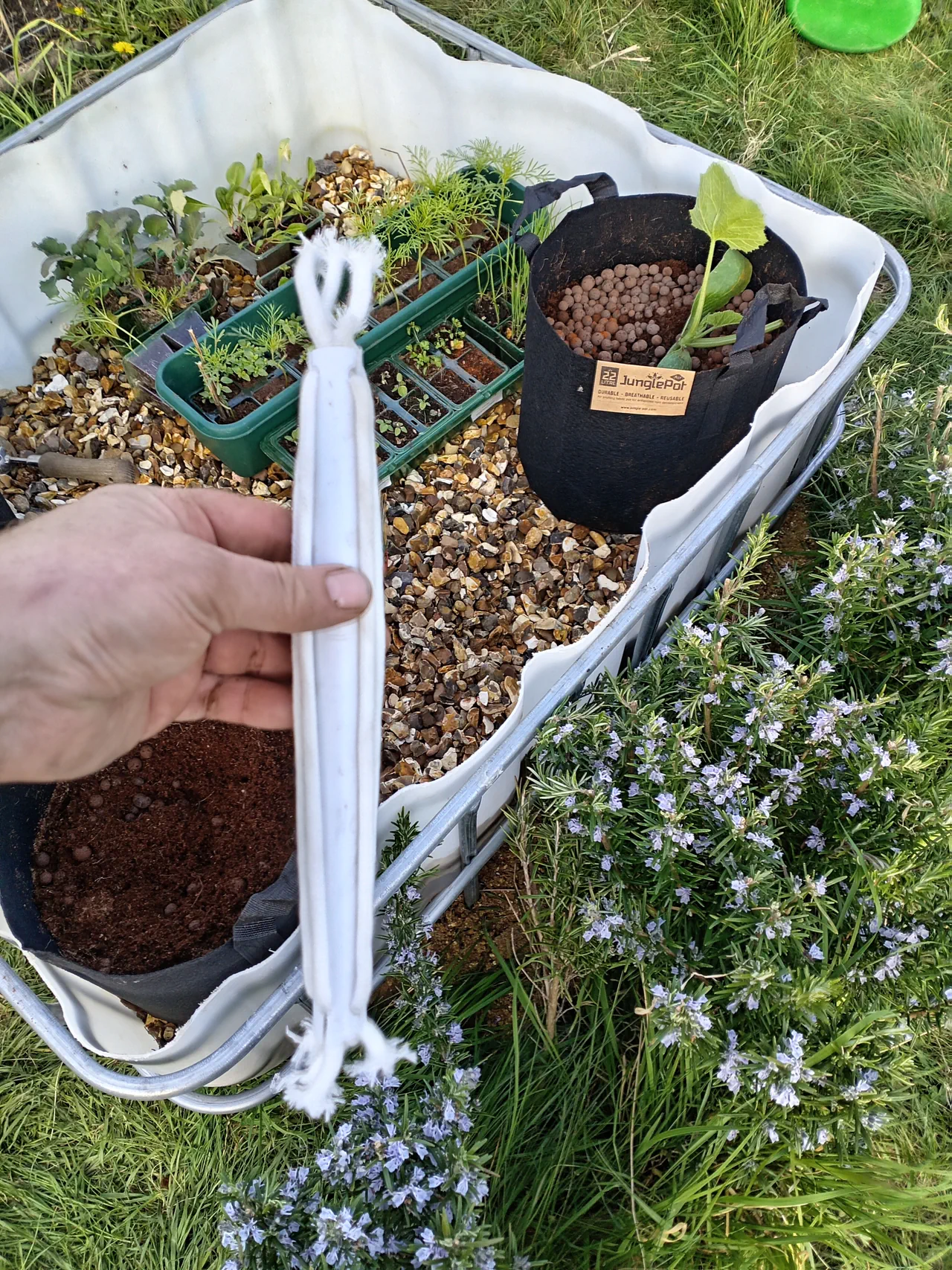 Hand holding a PVC pipe section wrapped tightly in white wicking rope above an IBC gravel bed with fabric pots, demonstrating the capillary wick that draws nutrients into each pot
