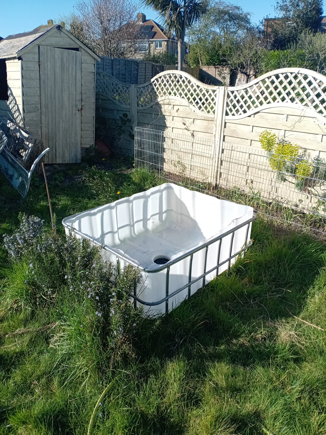 The cut IBC top section placed lid-down in the garden, ready to be filled with gravel