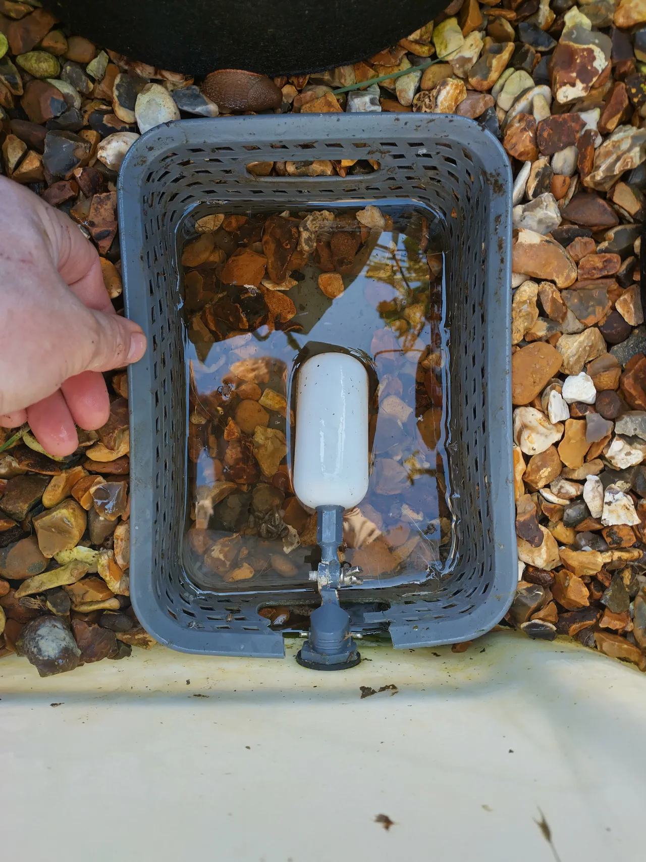 Close-up of the float valve sitting in the cutlery basket, water level clearly visible