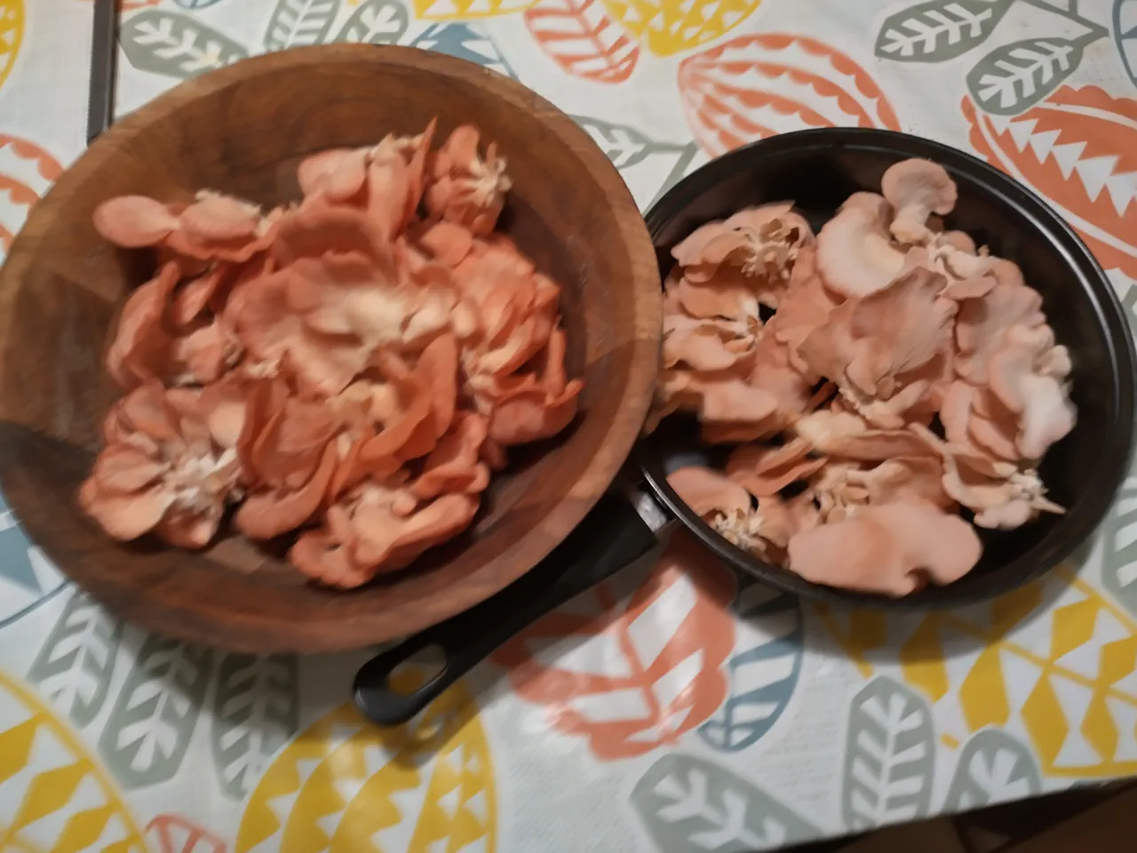 Two bowls filled with harvested pink oyster mushrooms — a wooden bowl and a dark pan — showing the generous quantity from a single flush
