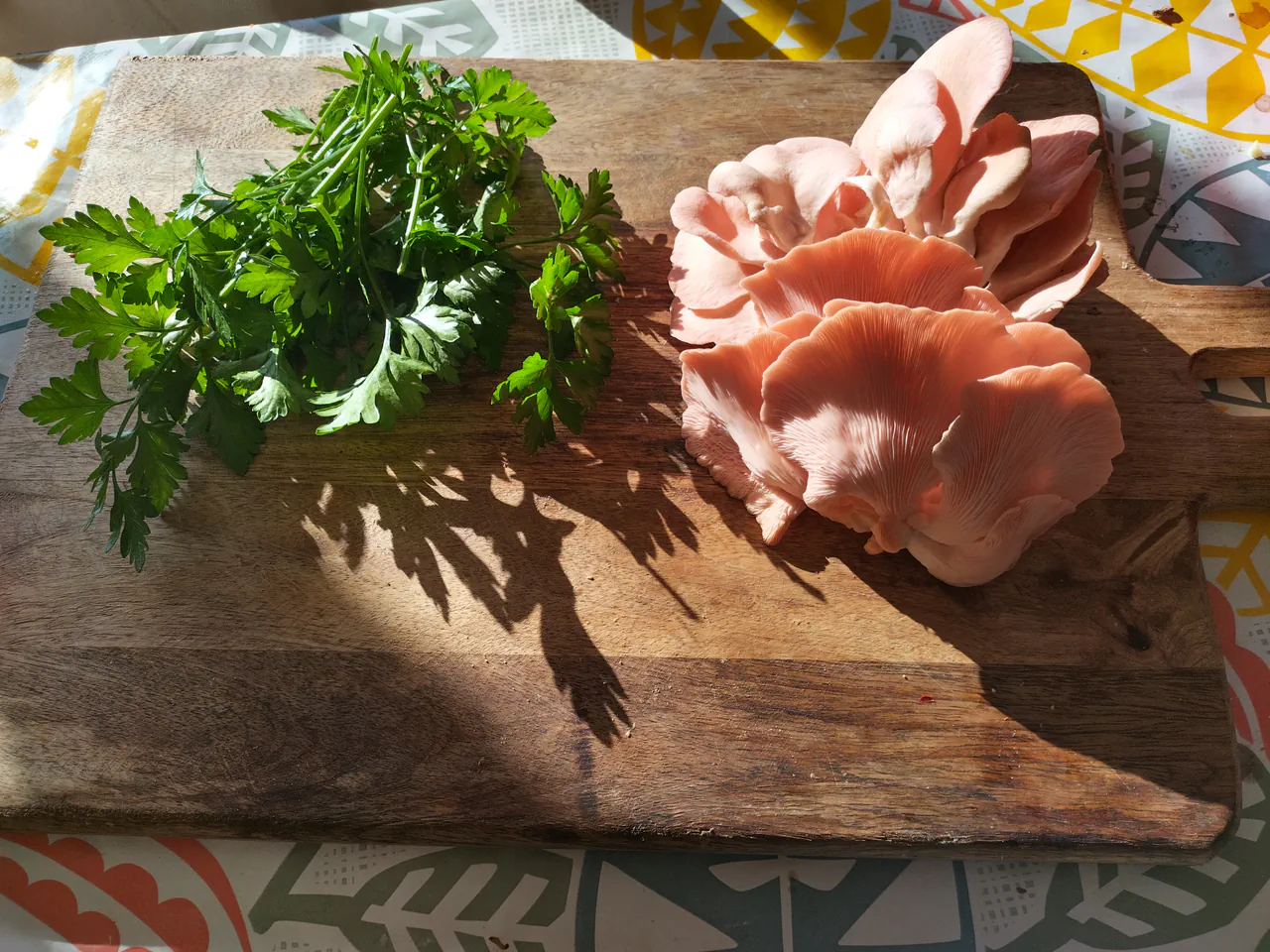 Freshly harvested pink oyster mushrooms alongside home-grown parsley on a wooden chopping board in sunlight