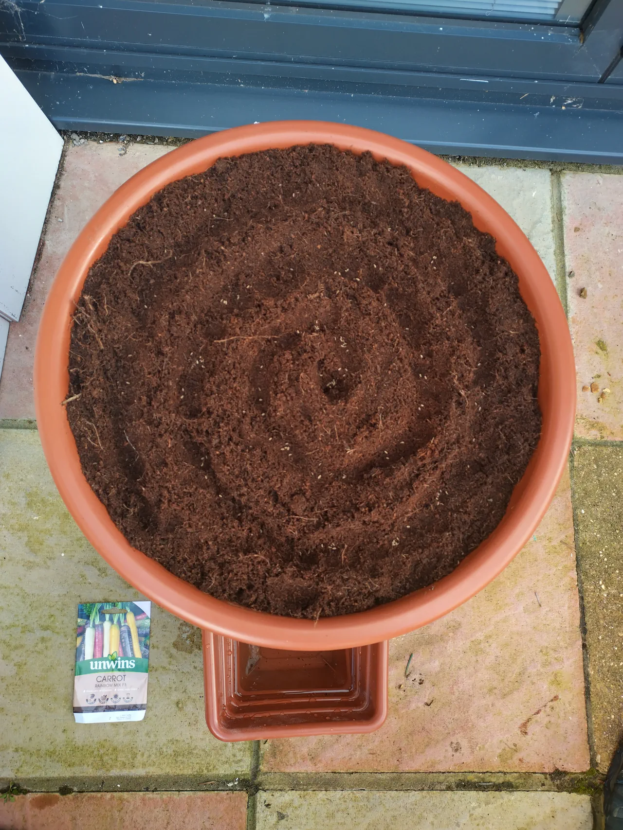 Finger-drawn spiral pattern in the coir surface for sowing carrot seeds, running from the outside edge to the centre