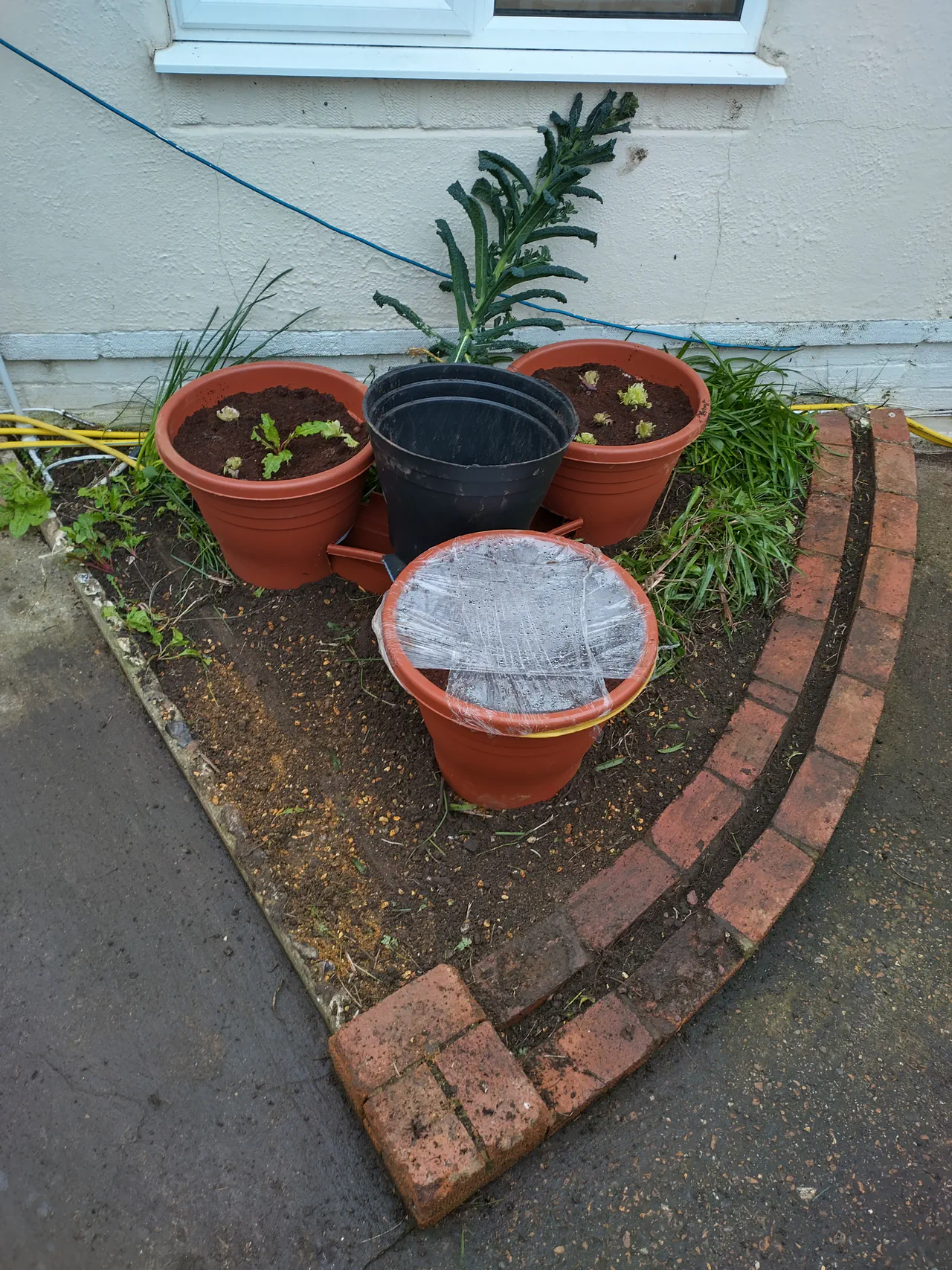 The triangle system from a wider angle showing curved brick edging around the perimeter, all four pots in position against the house wall
