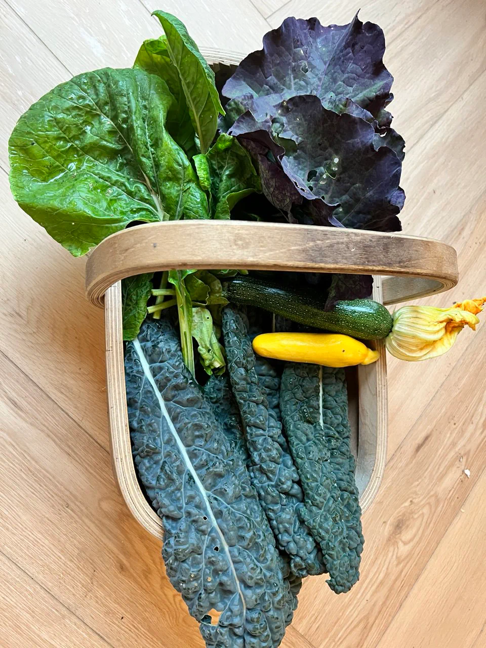 A wooden trug overflowing with home-grown cavolo nero, purple cabbage, courgettes, chard, and a courgette flower — a single day's harvest from the garden